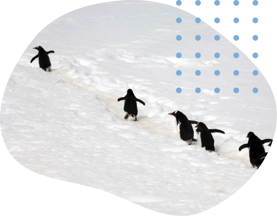 Image of a course picture, study guide, revision book, publication, icon or logo relating to an awarding body like NEBOSH, shown on the ACT Associates website.